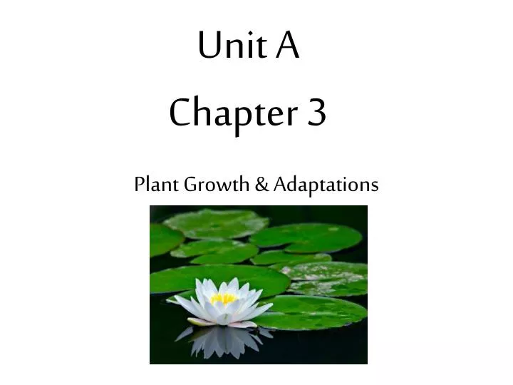 unit a chapter 3