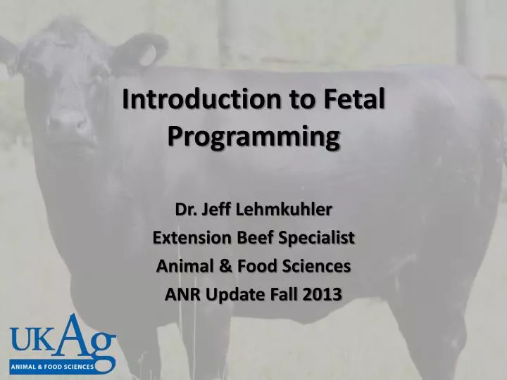 introduction to fetal programming