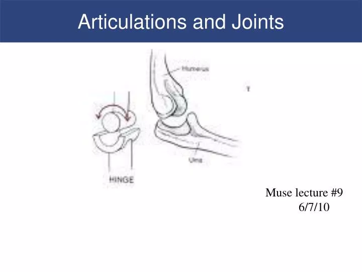 articulations and joints