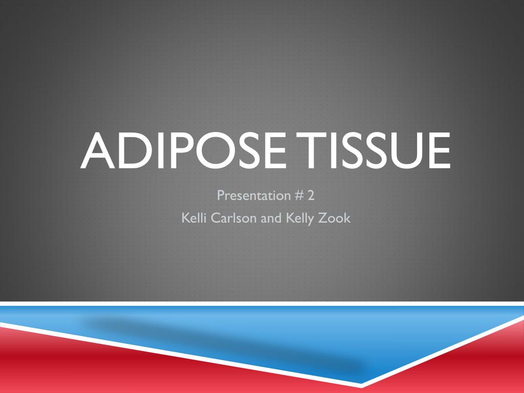 PPT - Adipose Tissue PowerPoint Presentation, free download - ID:1777432