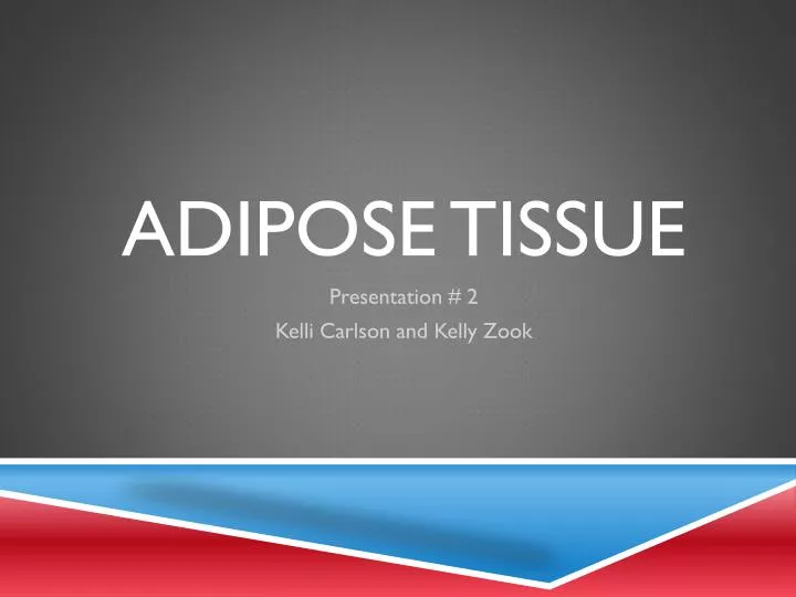 adipose tissue