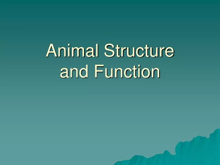 animal structure and function