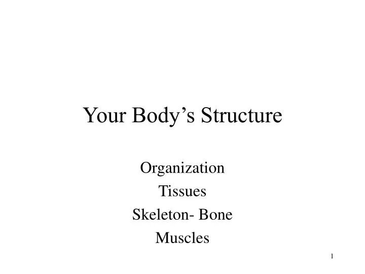 your body s structure