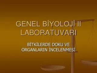 genel b yoloj ii laboratuvari
