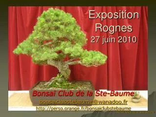exposition rognes 27 juin 2010