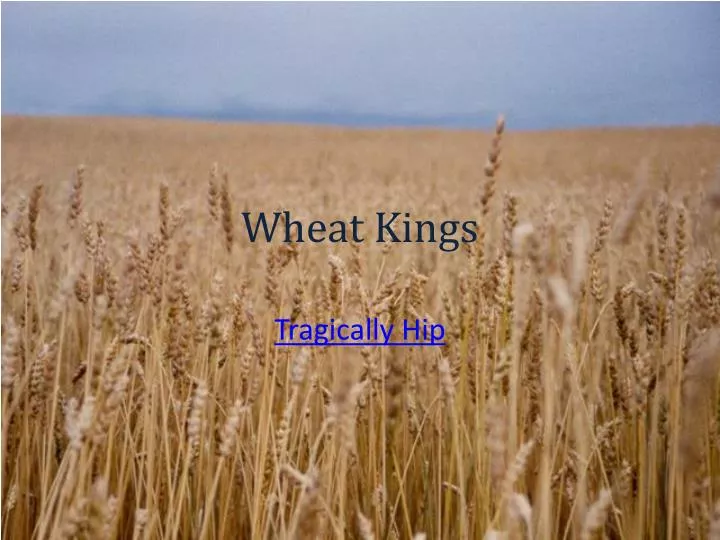 wheat kings
