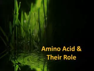 Amino Acid &amp; Their Role