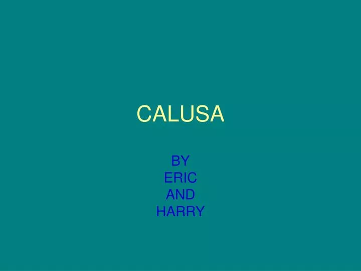 calusa