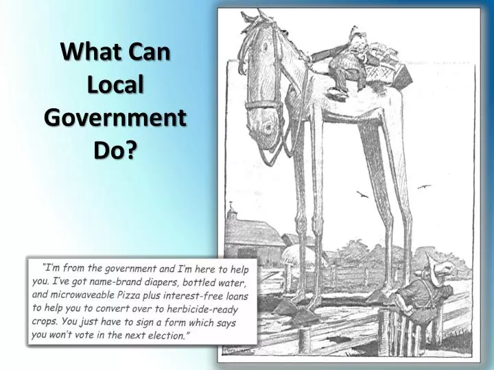 what can local government do