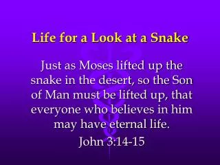 Life for a Look at a Snake