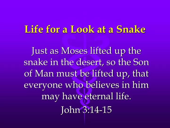 life for a look at a snake