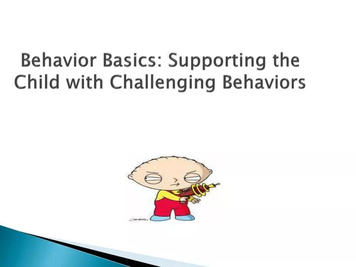 behavior basics supporting the child with challenging behaviors