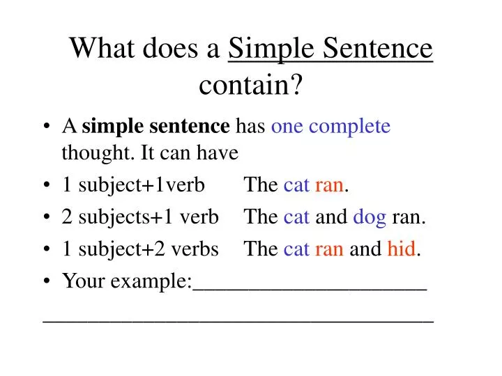what does a simple sentence contain
