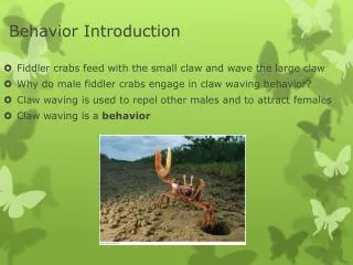 Behavior Introduction