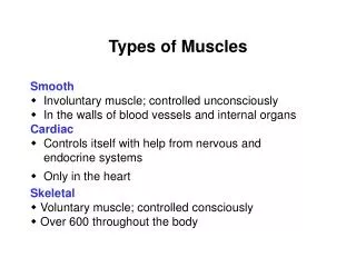 Types of Muscles