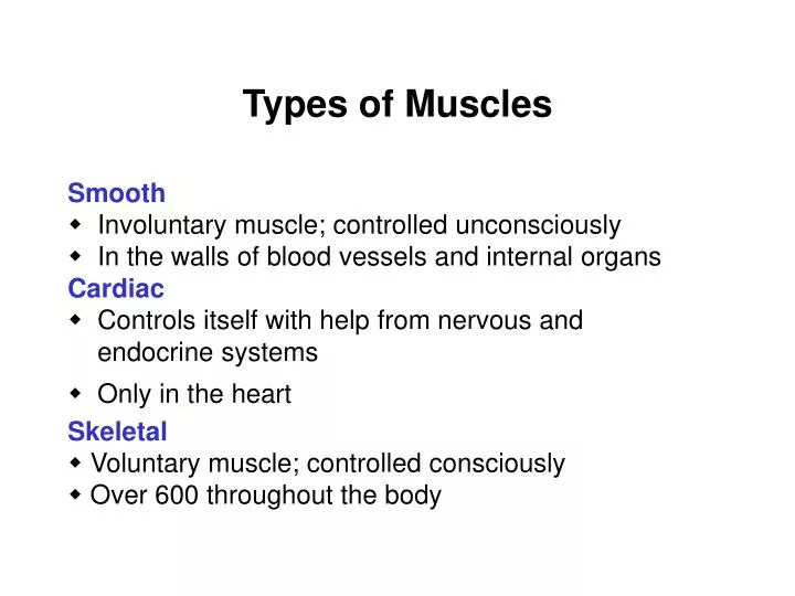 types of muscles
