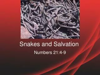 Snakes and Salvation