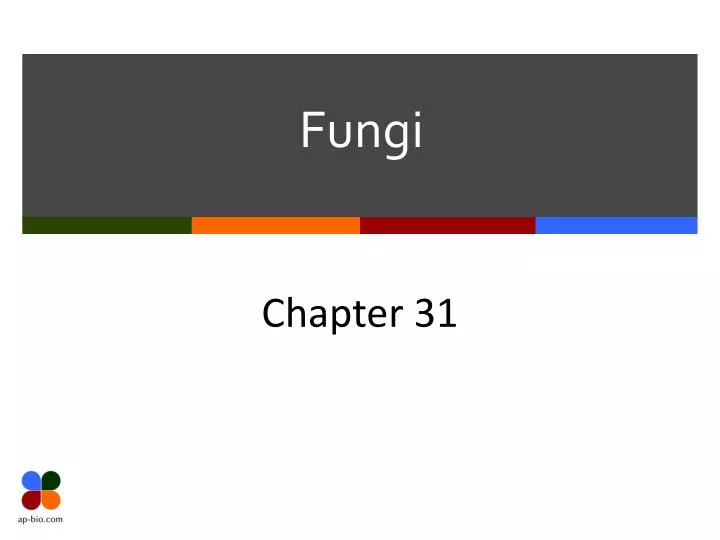 Ppt Fungi Powerpoint Presentation Free Download Id1778220