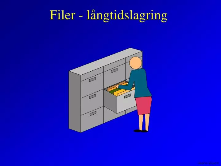 filer l ngtidslagring