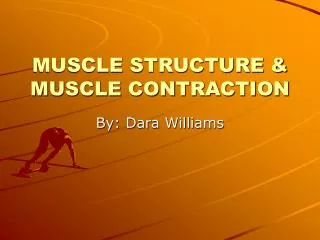 MUSCLE STRUCTURE &amp; MUSCLE CONTRACTION