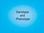 Genotype and Phenotype - slide 1