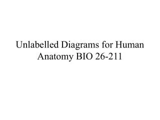 Unlabelled Diagrams for Human Anatomy BIO 26-211