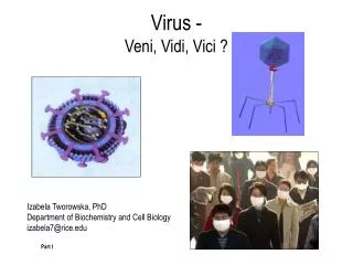 Virus - Veni, Vidi, Vici ?