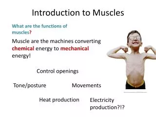 Muscle are the machines converting chemical energy to mechanical energy!
