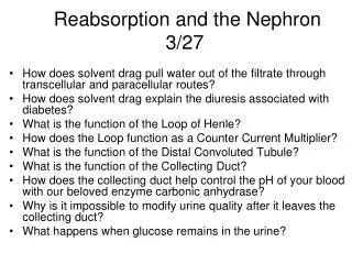 Reabsorption and the Nephron 3/27