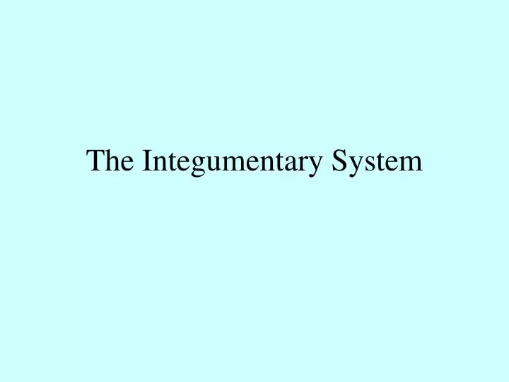 the integumentary system