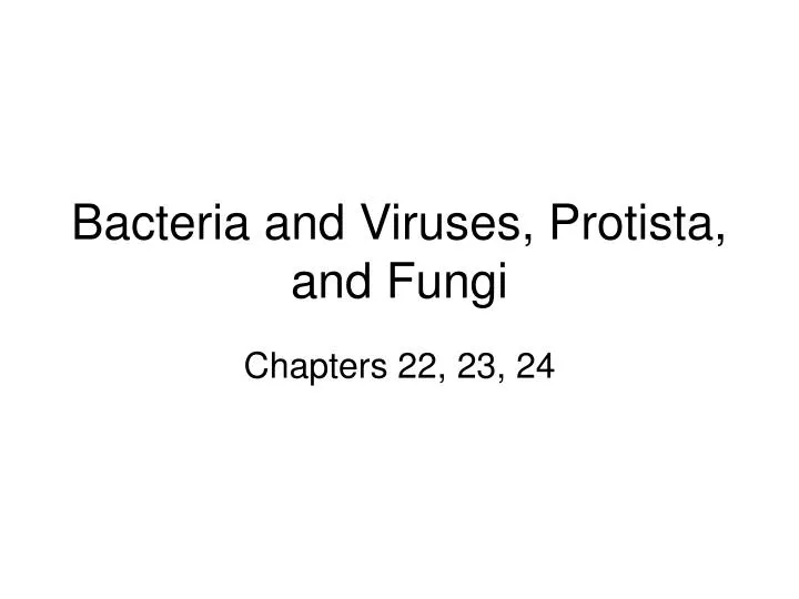bacteria and viruses protista and fungi