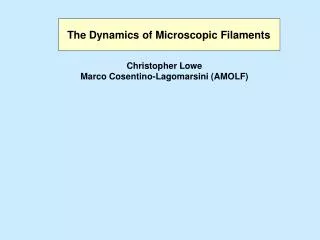 The Dynamics of Microscopic Filaments