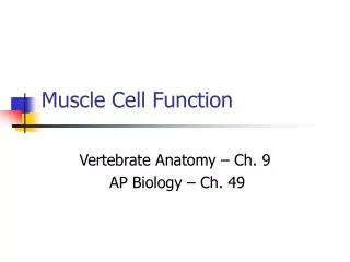 muscle cell function