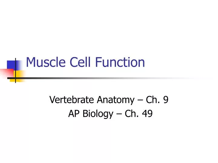 muscle cell function