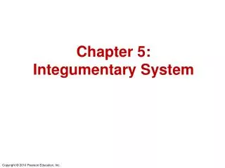 Chapter 5: Integumentary System