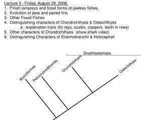 Lecture 3 - Friday, August 29, 2008. 1. Finish lampreys and fossil forms of jawless fishes 2. Evolution of jaws and pa