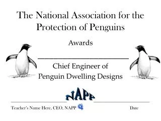 The National Association for the Protection of Penguins