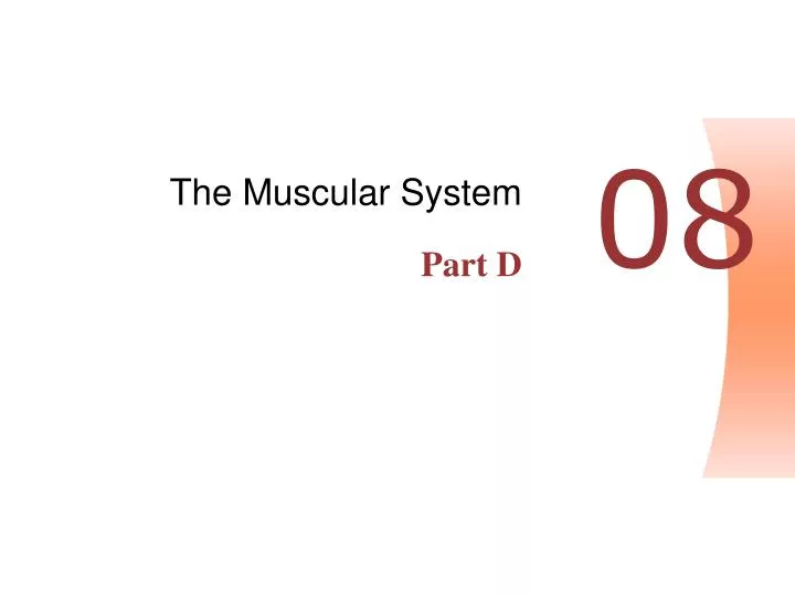 the muscular system part d