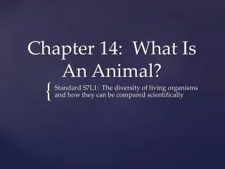 Chapter 14: What Is An Animal?