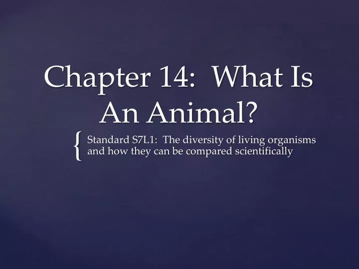 chapter 14 what is an animal