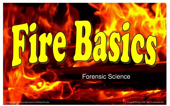 forensic science