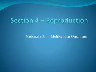section 4 reproduction