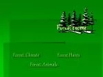 Forest Biome - slide 1