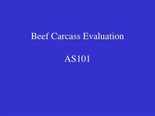 Beef Carcass Evaluation AS101