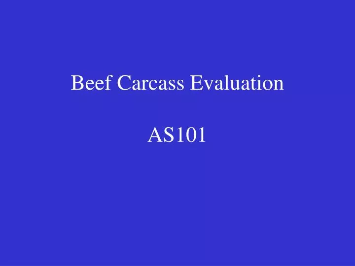 beef carcass evaluation as101