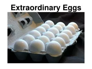 Extraordinary Eggs