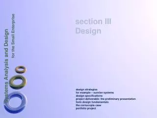 design strategies for example – sunrise systems design specifications project deliverable: the preliminary presentation