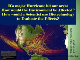 If a major Hurricane hit our area: How would the Environment be Affected? How would a Scientist use Biotechnology to Eva