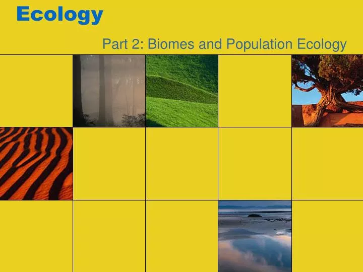 ecology