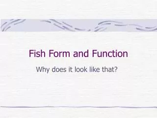 Fish Form and Function